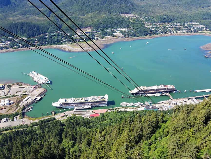 Juneau: Mount Roberts Tram Ride with App and Map - My recommendation: book it if you want views plus context
