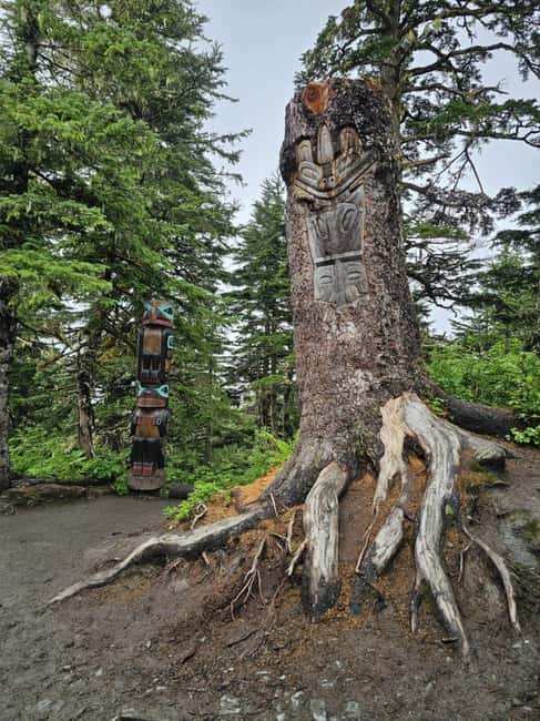 Juneau: Tram, Trails and Ale Tour - What Two Hours Really Gets You