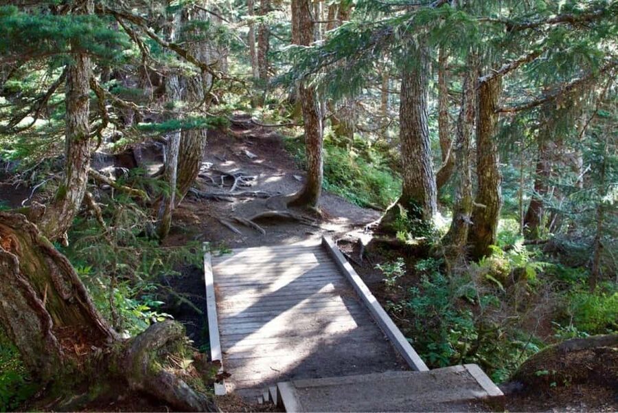 Juneau: Tram, Trails and Ale Tour - Totem Poles Add Cultural Context