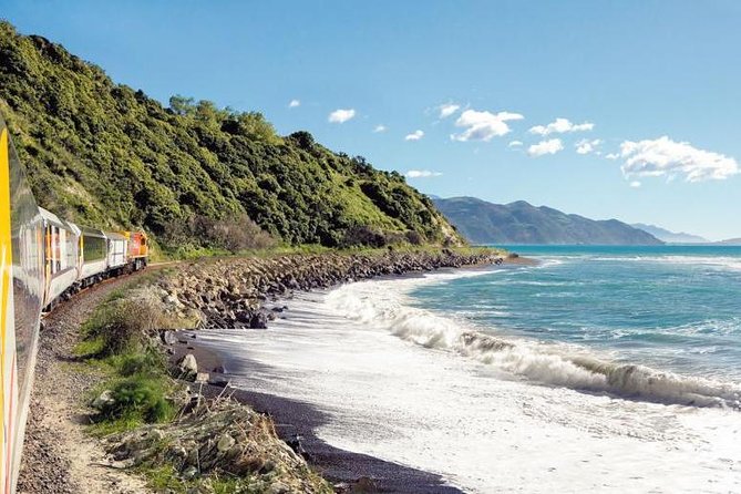 Kaikoura Whale Watch Day Tour from Christchurch including Coastal Pacific Train - Why Kaikoura is such a strong whale-watching destination