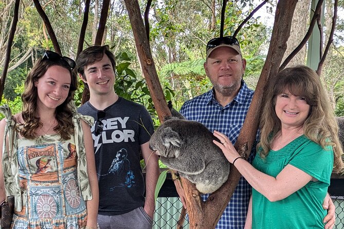 Koala & Kangaroos Experience, Waterfalls and Scenic Train Journey - Key things to know before booking