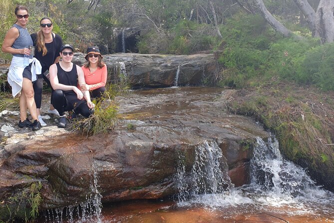 Koala & Kangaroos Experience, Waterfalls and Scenic Train Journey - Bouddi National Park: an optional coastal detour