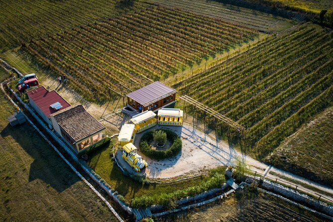 Konavle Valley Wine Tour from Dubrovnik with Train Ride and Wine Tasting - Brajković cellar and the first taste of local wine