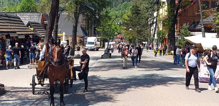 Krakow: Zakopane, Funicular, Cheese, and Highland Day Trip - Zakopane and the two-hour town break