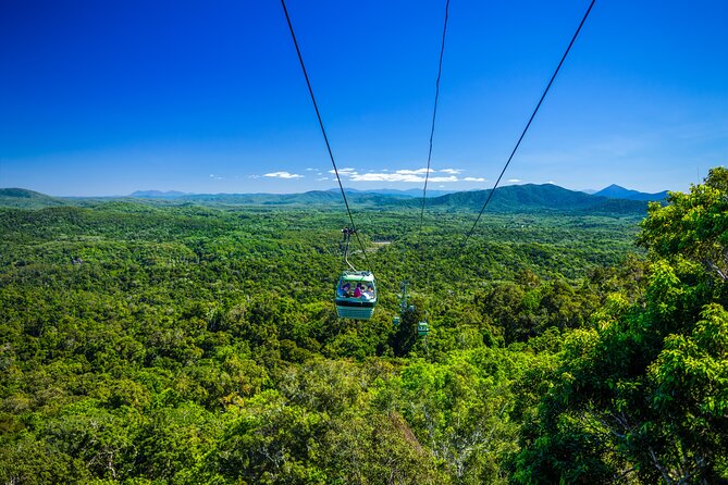 Kuranda, Scenic Rail, Skyrail and Hartley's Crocodile Adventures - Hartley’s crocodiles, wetlands, and native animals
