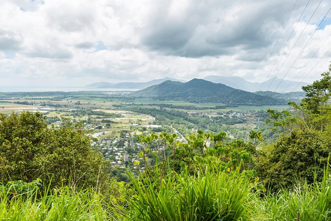 Kuranda Scenic Railway Day Trip from Cairns - Why Skyrail is often the day’s highlight