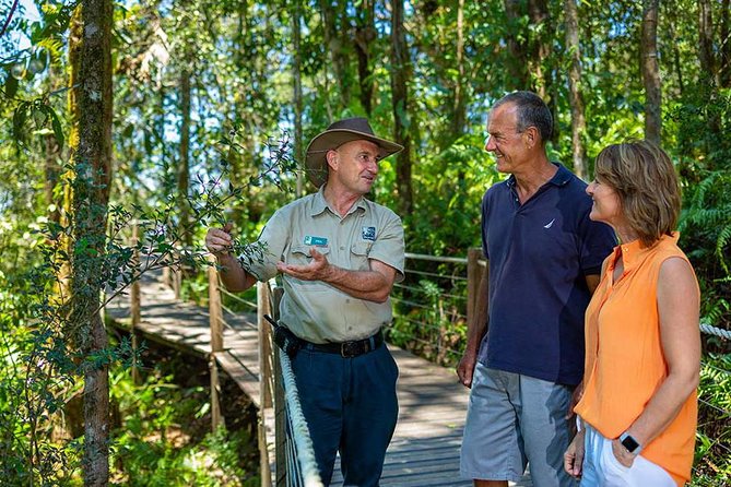 Kuranda Scenic Railway Day Trip from Palm Cove - Returning above the rainforest on Skyrail