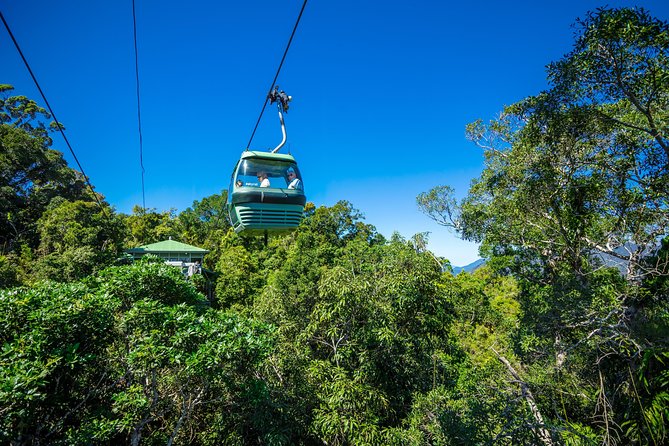 Kuranda Scenic Railway Day Trip from Palm Cove - Barron Falls and the first big views