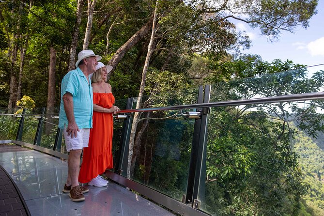Kuranda Scenic Railway & Skyrail Tour from Port Douglas - Skyrail opens with a view over the canopy