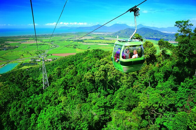 Kuranda Skyrail and Scenic Rail including Artillery Museum - A museum first, then rainforest and rail
