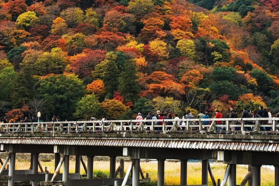 Kyoto: Arashiyama Tour with optional Sagano Romantic Train - Why the Sagano train is worth considering