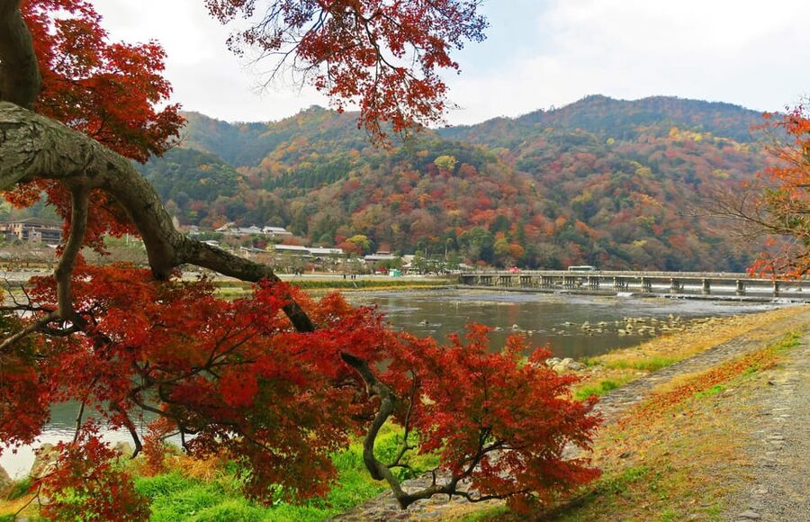 Kyoto: Arashiyama Tour with optional Sagano Romantic Train - Kyoto snacks at a local café