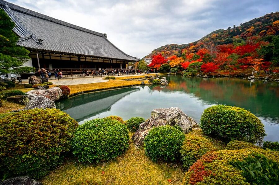 Kyoto: Arashiyama Tour with optional Sagano Romantic Train - Who should book this Arashiyama tour?