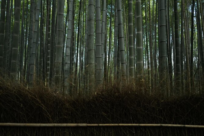 Kyoto Early Bird Tour Tokyo Round or One Way Shinkansen - What the $423.49 price really buys