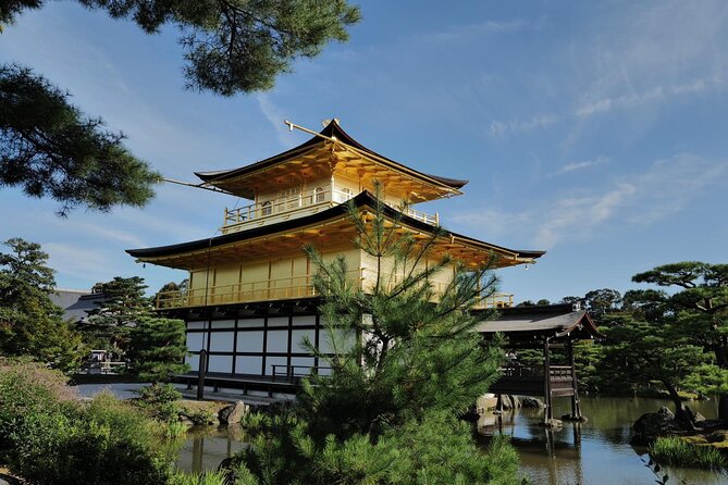 Kyoto Early Bird Tour Tokyo Round or One Way Shinkansen - The physical side of this Kyoto day