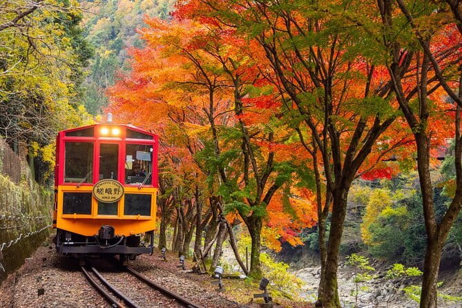 Kyoto Sagano Romantic Train in Arashiyama Bus Tour - The 7:30 am start at Kyoto Station