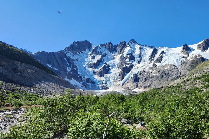 Laughton Glacier Hike and White Pass Rail Adventure - Lunch with ice, water, and mountain views