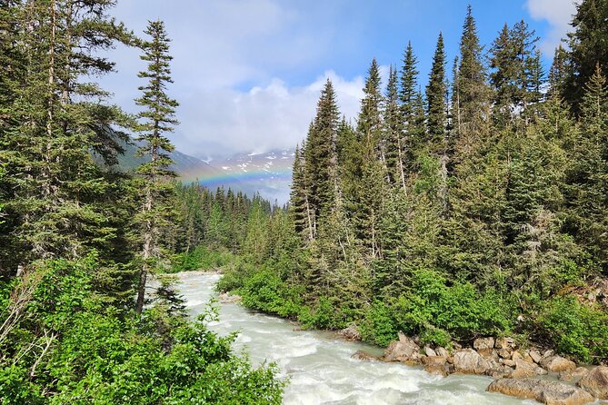 Laughton Glacier Hike and White Pass Rail Adventure - The return hike and ride back to Skagway