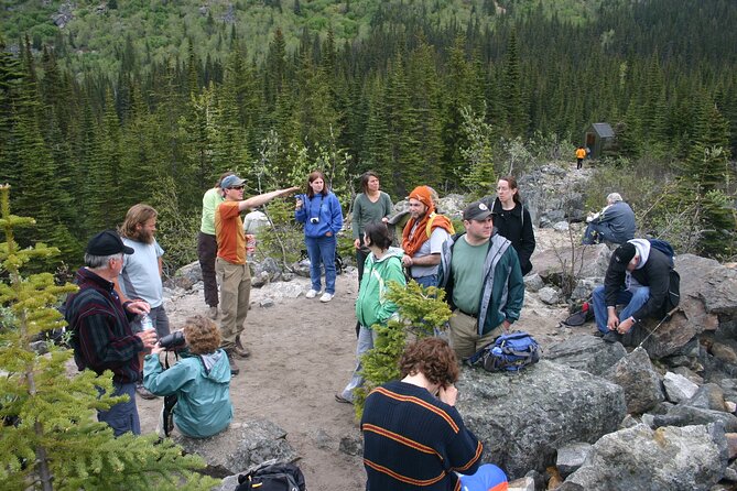 Laughton Glacier Hike and White Pass Rail Adventure - The three-mile trail from forest to snow