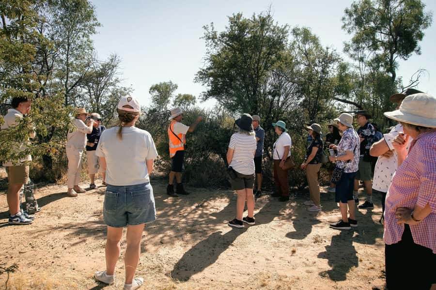 Longreach: Great Darr River Rail Run Outback Rail Adventure - The first secret stop and the Mulga Walk