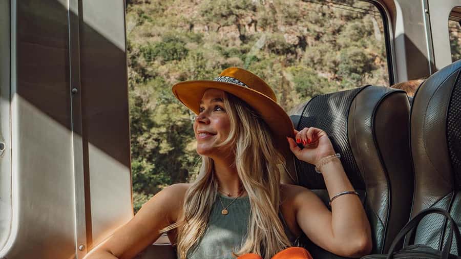 Machu Picchu: 1-day tour by Vistadome Observatory train - Is $590 a fair price?