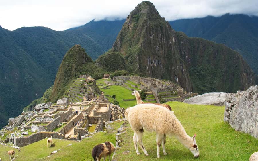Machupicchu tour by tourist train in 2 days - The guide and group size