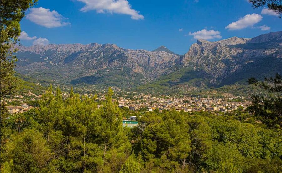 Mallorca: Exclusive Soller Train and Tram Half-Day Tour - Practical tips for making the most of it