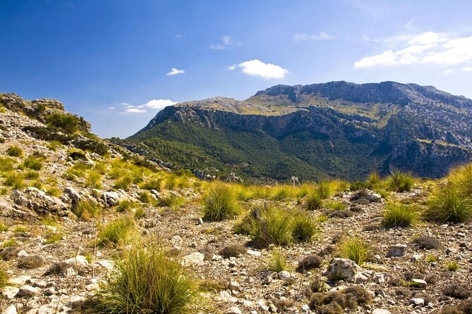 Mallorca in One Day Sightseeing Tour with Boat Ride and Vintage Train - The four best reasons to consider this tour