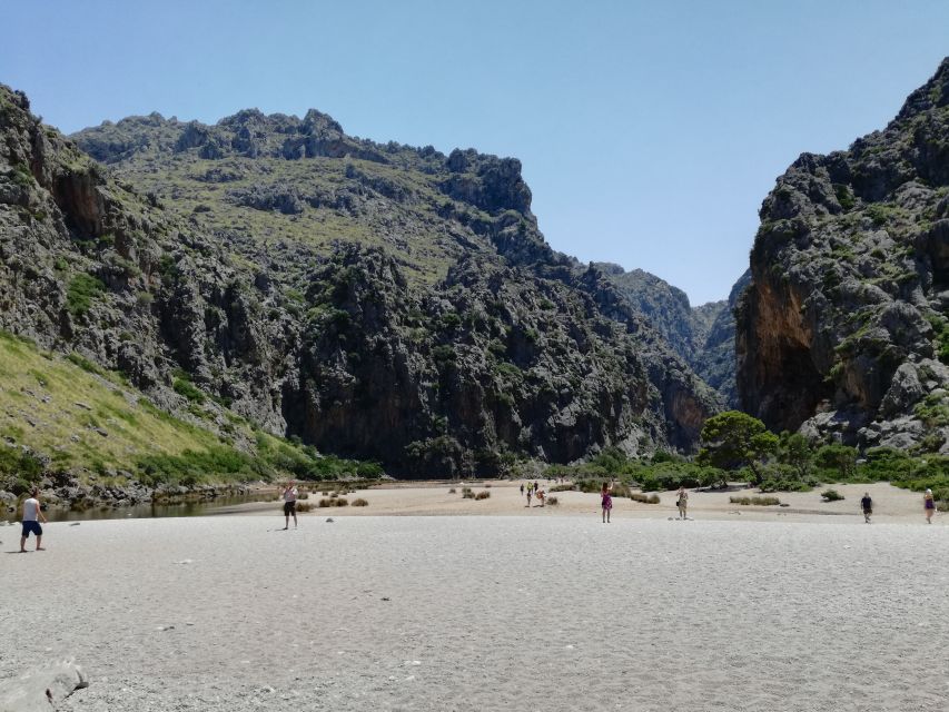 Mallorca: Island Tour with Boat, Train, and Hotel Transfer - Why this is a smart way to see Mallorca