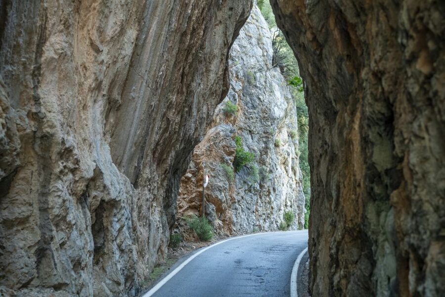 Mallorca: Island Tour with Boat, Tram & Train from the South - The Sóller train through tunnels and citrus country