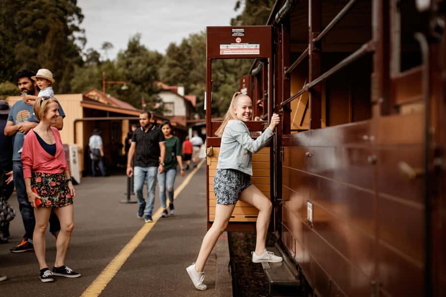 Melbourne: Half-Day Puffing Billy Steam Train Experience - What the $126 price really buys you