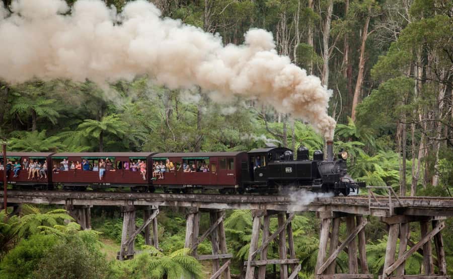 Melbourne: Half-Day Puffing Billy Steam Train Experience - Who should book this half-day tour?