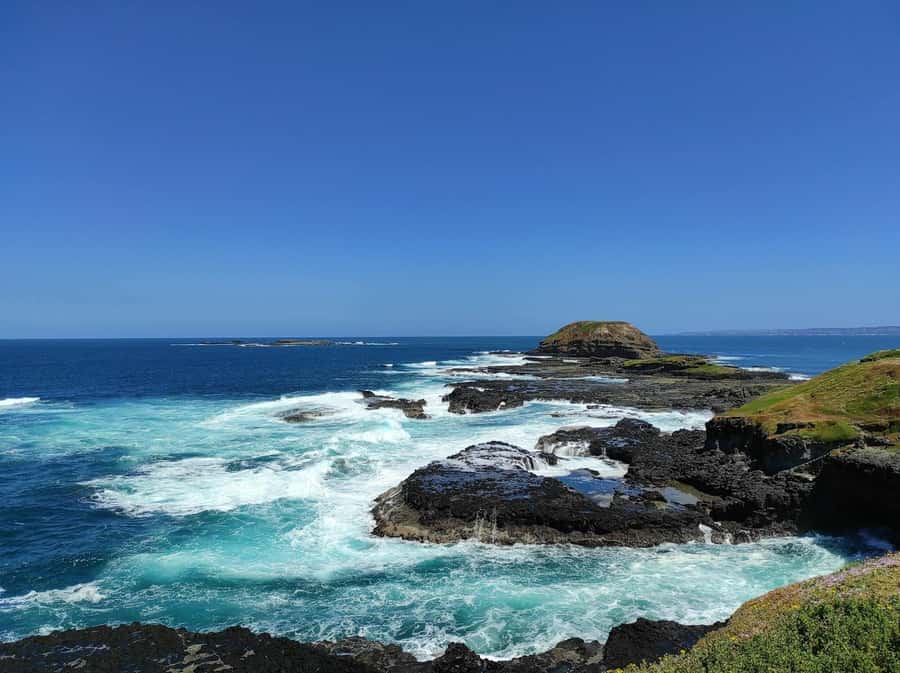 Melbourne: Penguin Parade Tour with Puffing Billy Train Ride - The Nobbies viewpoint and Phillip Island’s coast