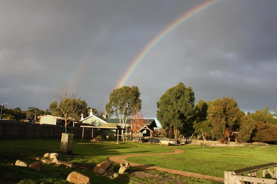 Melbourne: Penguin Parade Tour with Puffing Billy Train Ride - Who should book this $133 day trip?