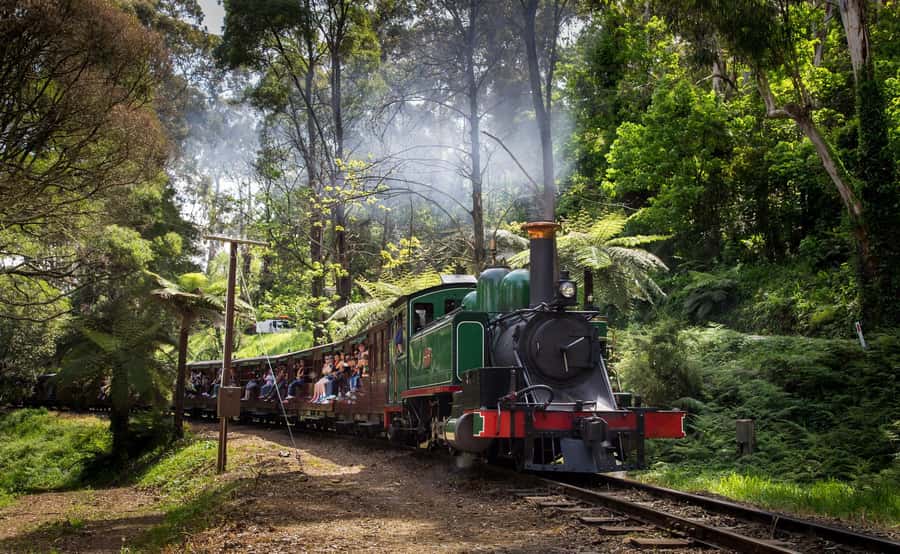 Melbourne: Penguin Parade Tour with Puffing Billy Train Ride - Brighton Beach and the colorful bathing huts