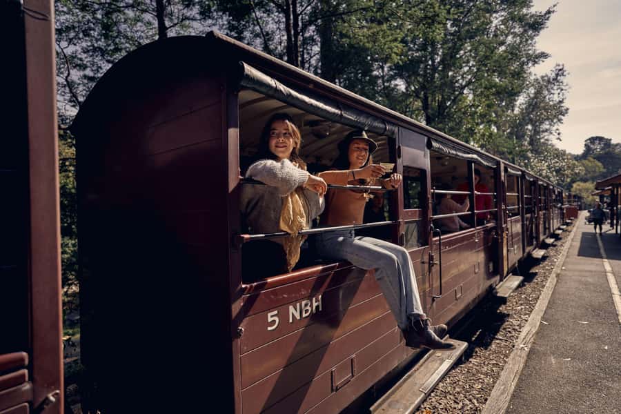 Melbourne: Puffing Billy Railway & Penguin Parade Day Tour - Key points to know before booking