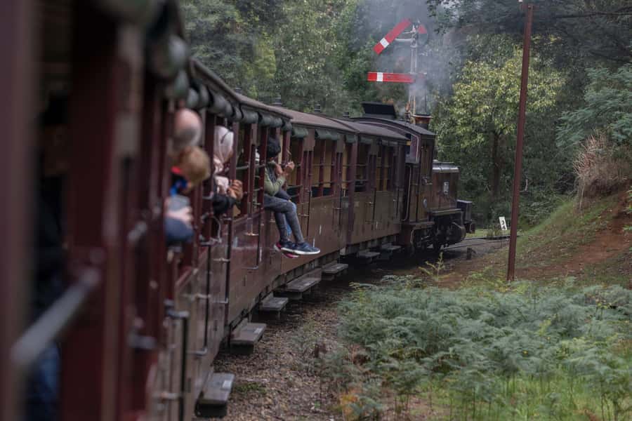 Melbourne: Puffing Billy Railway & Penguin Parade Day Tour - Who should book this experience?