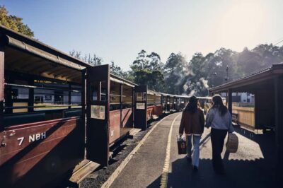 Puffing Billy Railway & Rainforest Tour