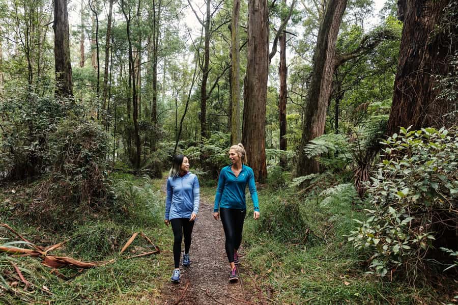 Melbourne: Puffing Billy Railway & Rainforest Tour - Who will enjoy this most