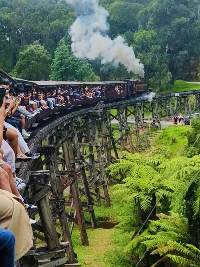 Melbourne: Puffing Billy Train and Penguin Island Day Tour - Key points to know before booking