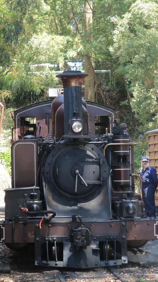 Melbourne: Puffing Billy Train and Penguin Island Day Tour - Puffing Billy through the Dandenong Ranges