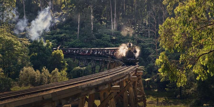 Melbourne: Puffing Billy Train & Healesville & Winery Tour - Key points to know before booking