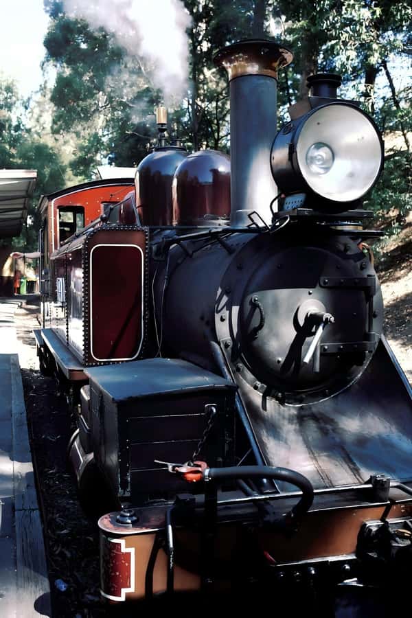 Melbourne: Puffing Billy Train & Healesville & Winery Tour - Healesville Sanctuary is the day’s best wildlife stop
