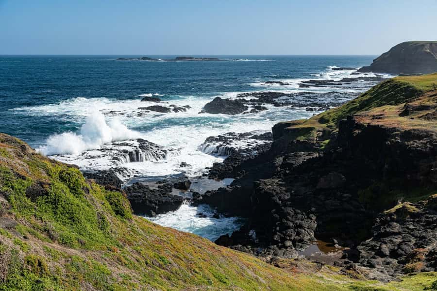 Melbourne: Puffing Billy Train & Penguin Island Excursion - Watching the little penguins come ashore