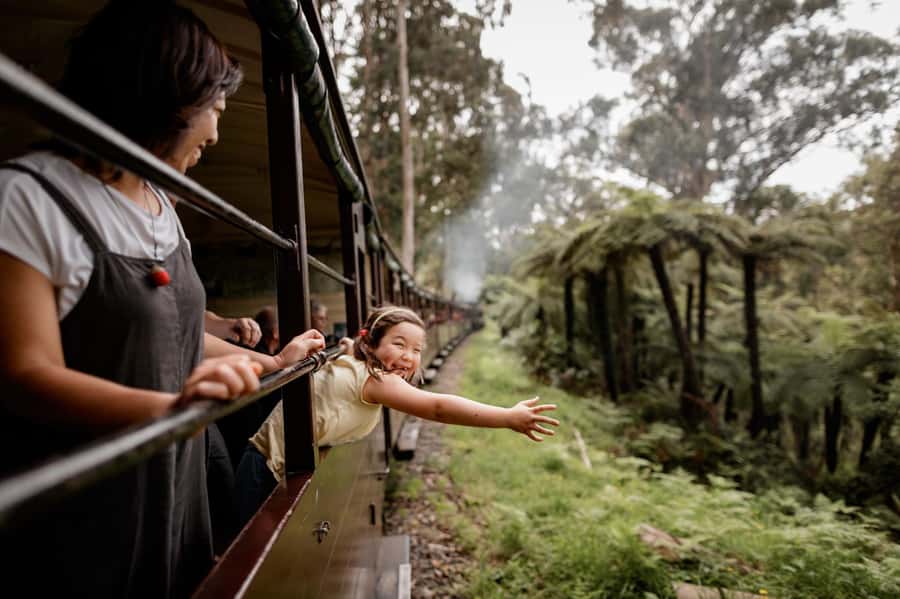 Melbourne: Puffing Billy Train & Penguin Parade Adventure - Key points to know before booking