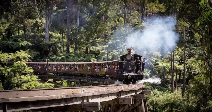 Melbourne: Puffing Billy Train & Penguin Parade Adventure - How the price works out at $130