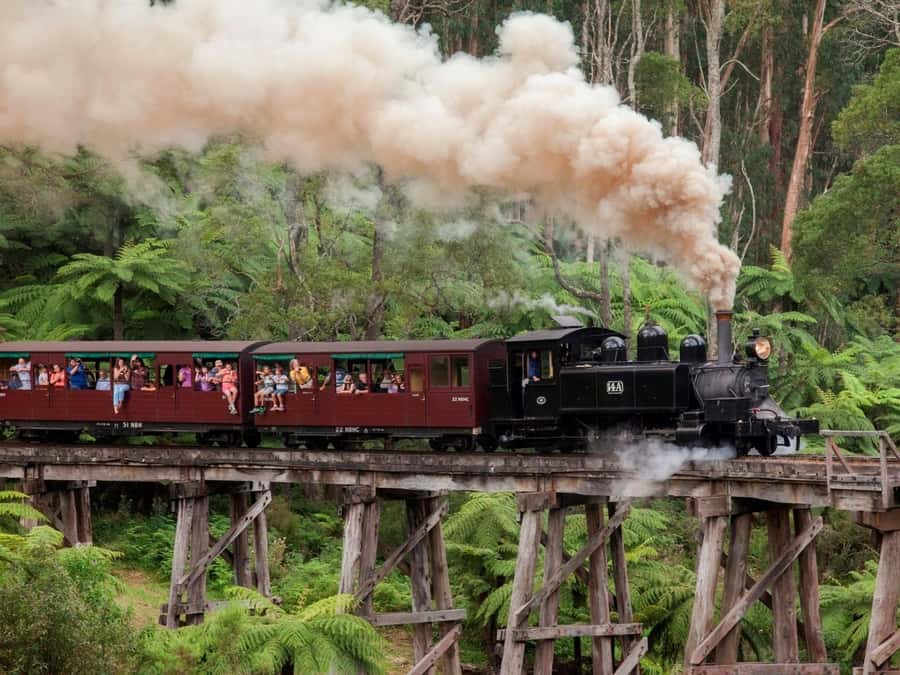 Melbourne: Puffing Billy Train Wildlife Zoo Private Tour - Key points at a glance