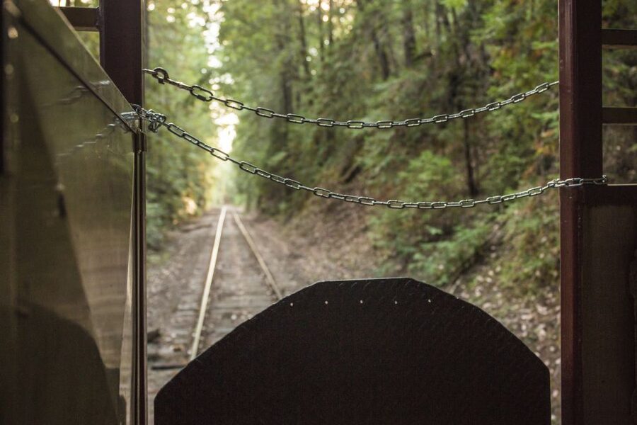 Mendocino County: Skunk Train Wolf Tree Turn Train Ride - Riding Into the Noyo River Canyon