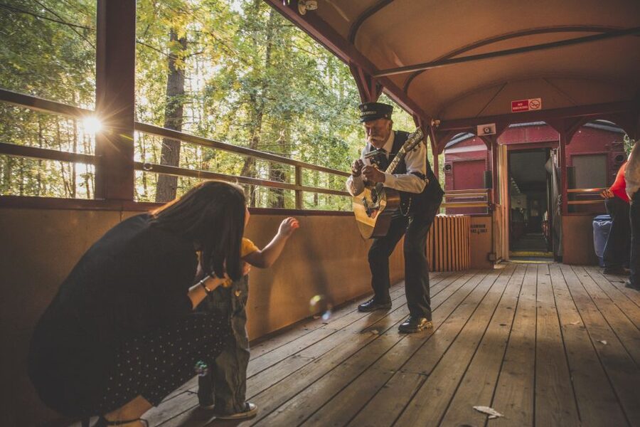 Mendocino County: Skunk Train Wolf Tree Turn Train Ride - Why the Old Skunk Train Still Matters