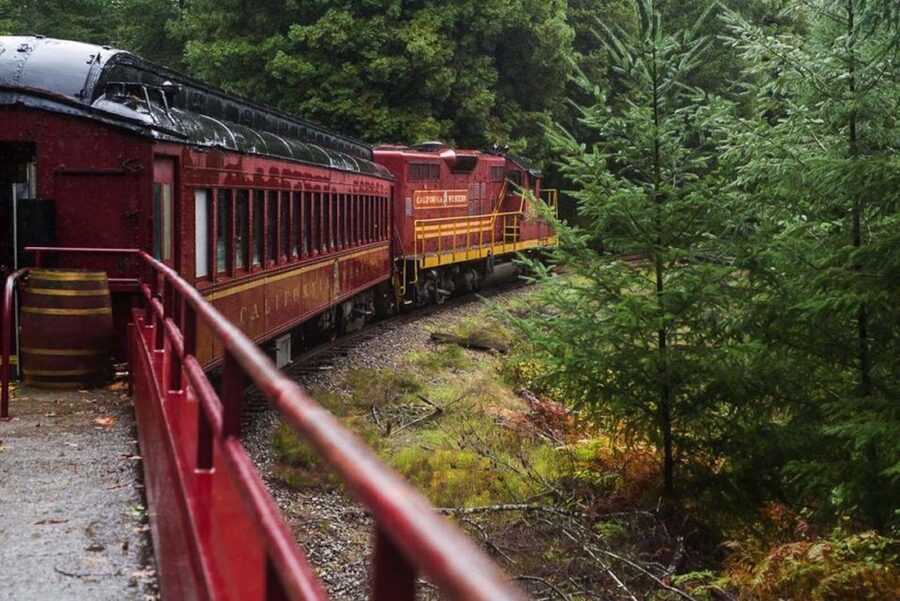 Mendocino County: Skunk Train Wolf Tree Turn Train Ride - Seeing the Redwoods From the Rails